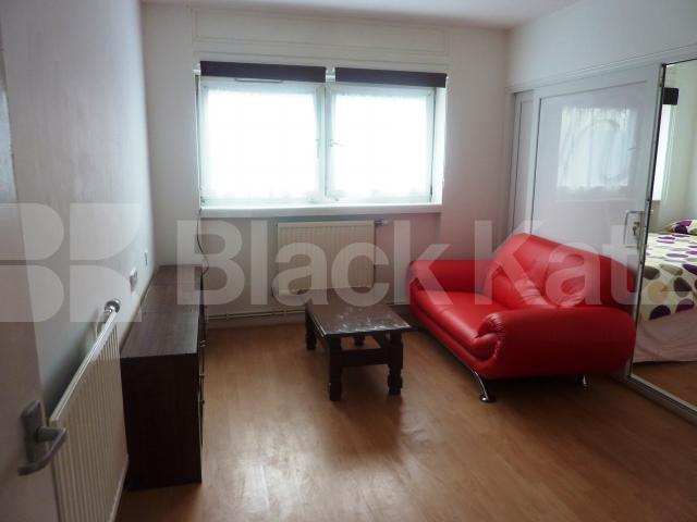 			NEW INSTRUCTION!!, 1 Bedroom, 1 bath, 1 reception Flat			 Penton Rise, KINGS CROSS